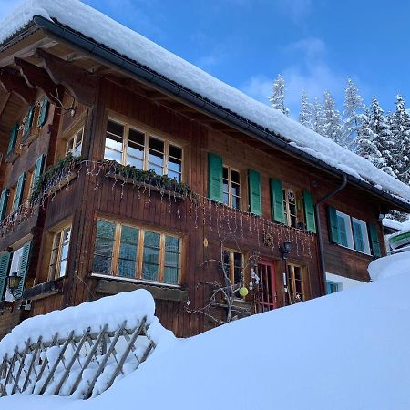 Chalet Schiltwald Innerוונגן מראה חיצוני תמונה