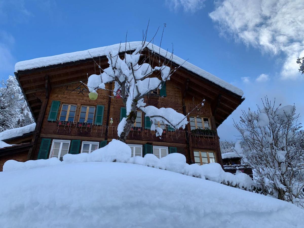 Chalet Schiltwald Innerוונגן מראה חיצוני תמונה